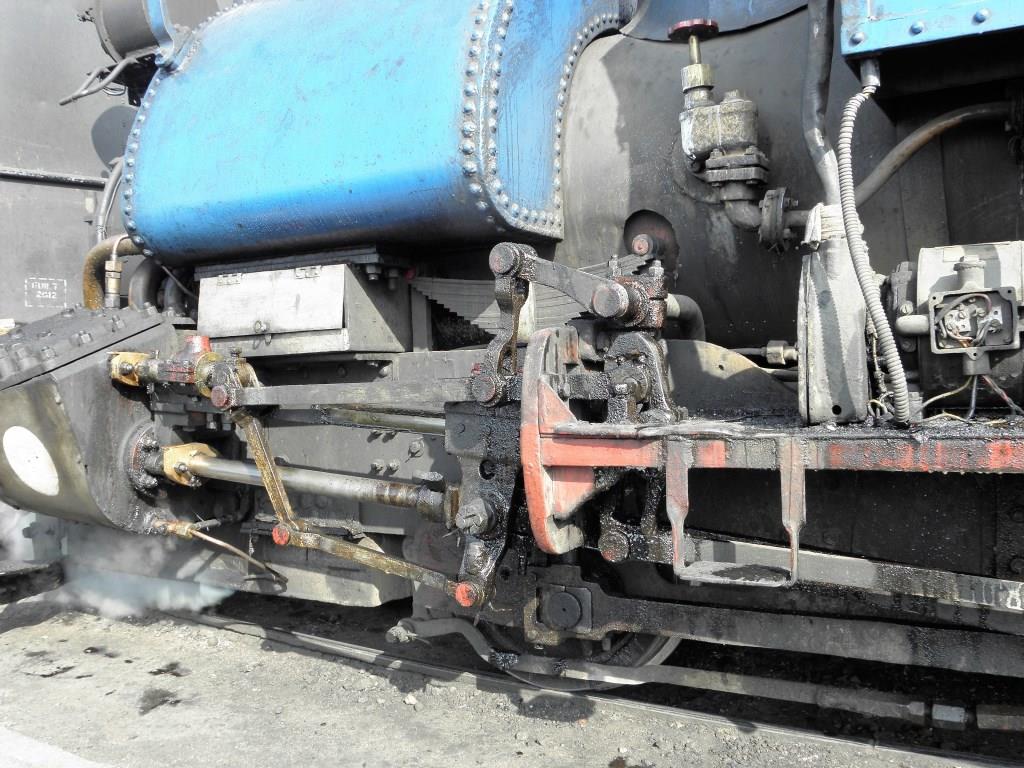 Indien - Darjeeling - 2015